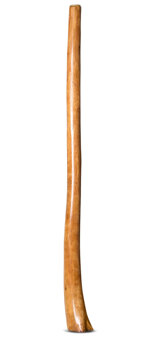 Gloss Finish Flared Didgeridoo (TW936)
